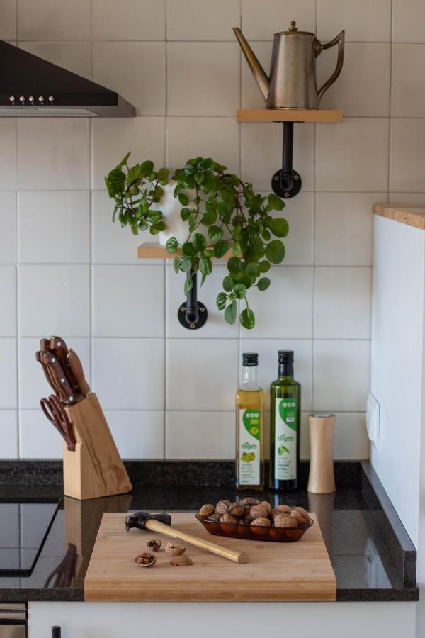 A Casa Da Alicia Apartment Монфорте де Лемос Екстериор снимка